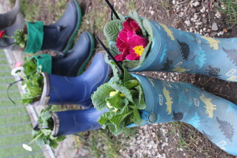 Gummistiefel mit Blumen bepflanzt